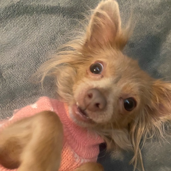 Meet your Posher, Kalina - Picture 1 of 1